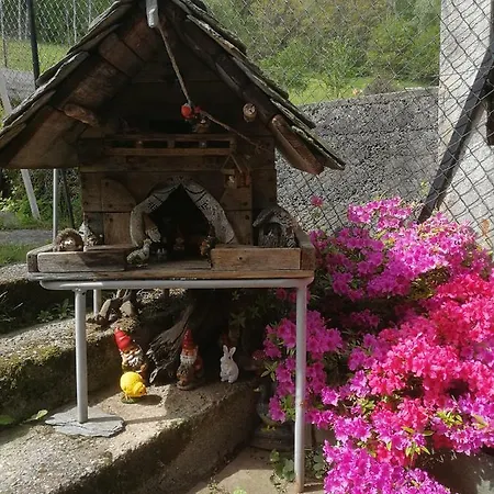 Bauernhof Ribunta *