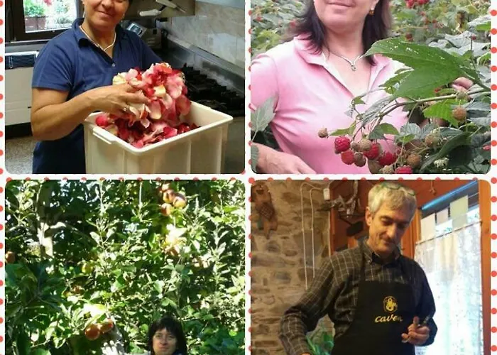 Alojamento de Turismo Rural Ribuntà *