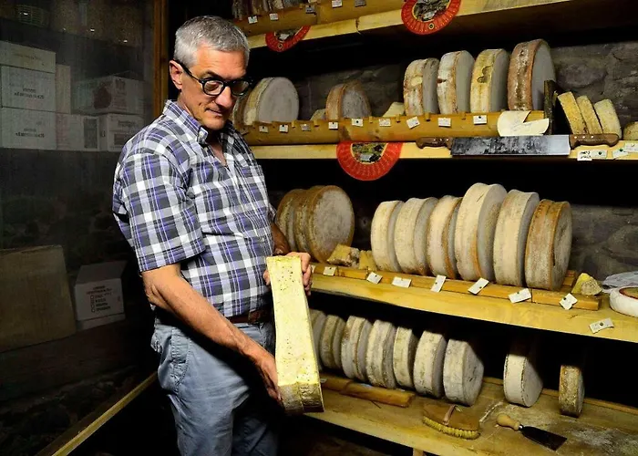 Ribuntà *
